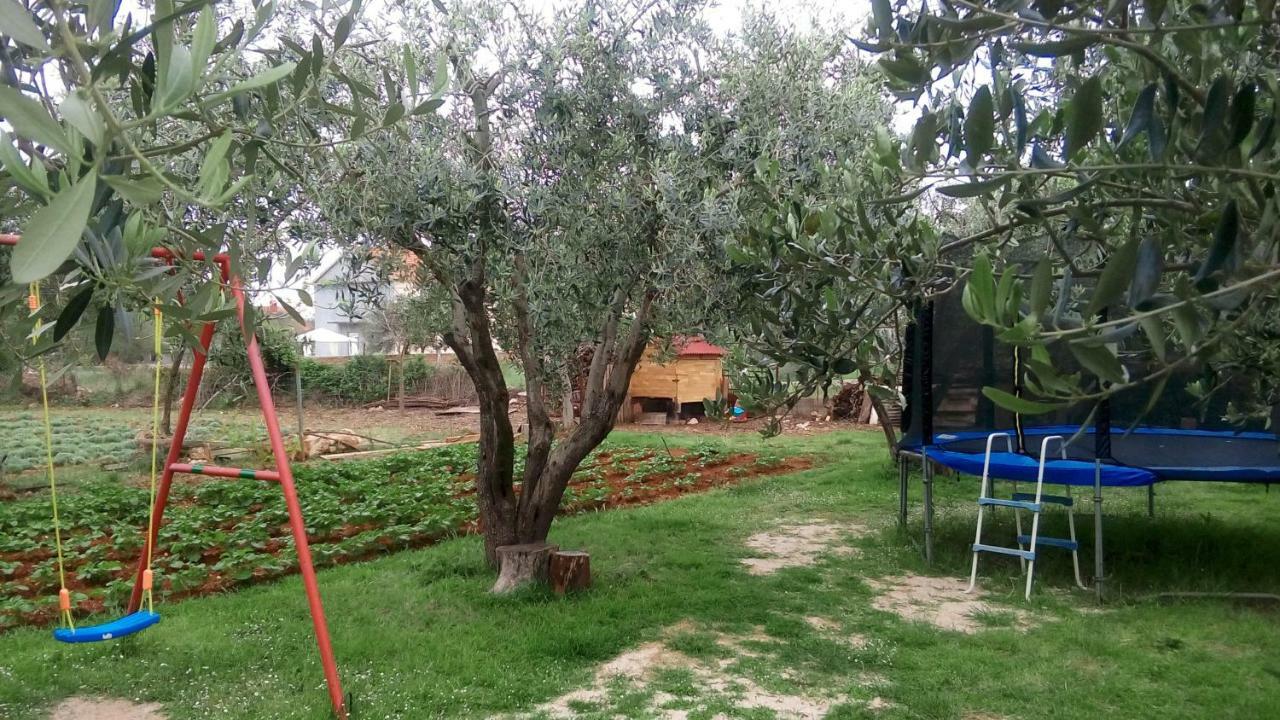Apartmani Dana Sukošan Exteriér fotografie